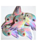 Pigeon Holographic Vinyl Sticker